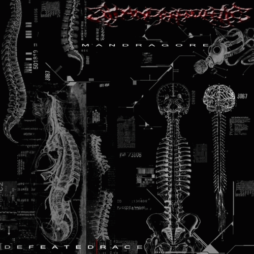 Mandragore (MEX) : Defeated Race